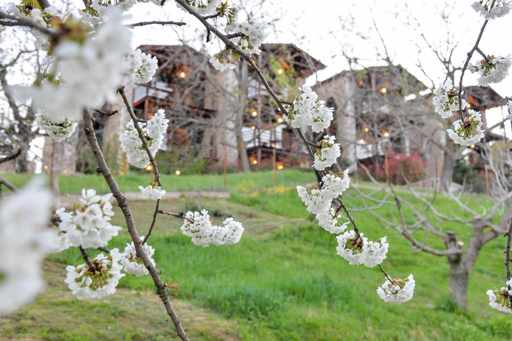 Vathyskia Guesthouse Kato Sinikia Trikalon Exteriér fotografie