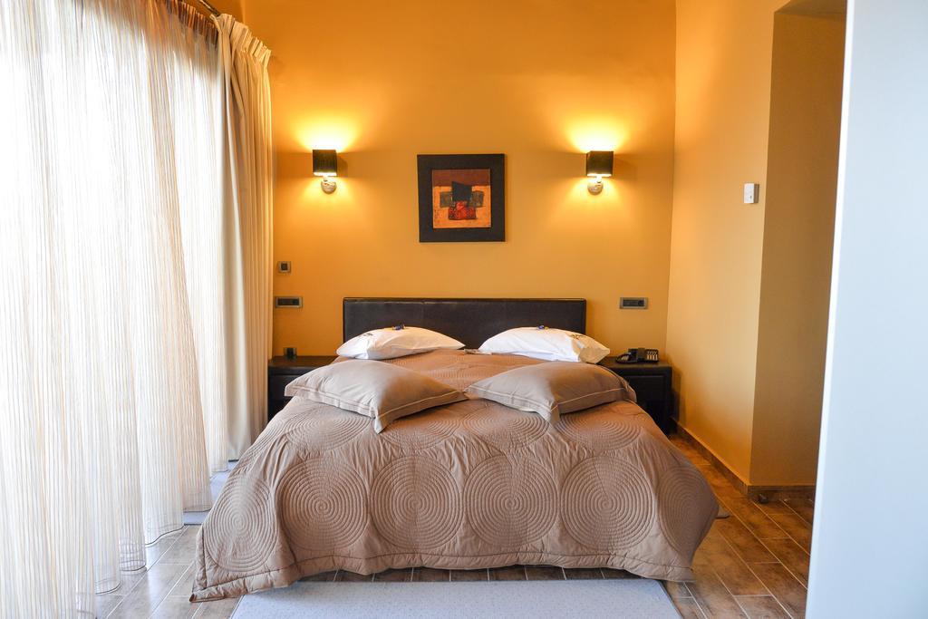 Vathyskia Guesthouse Kato Sinikia Trikalon Pokoj fotografie
